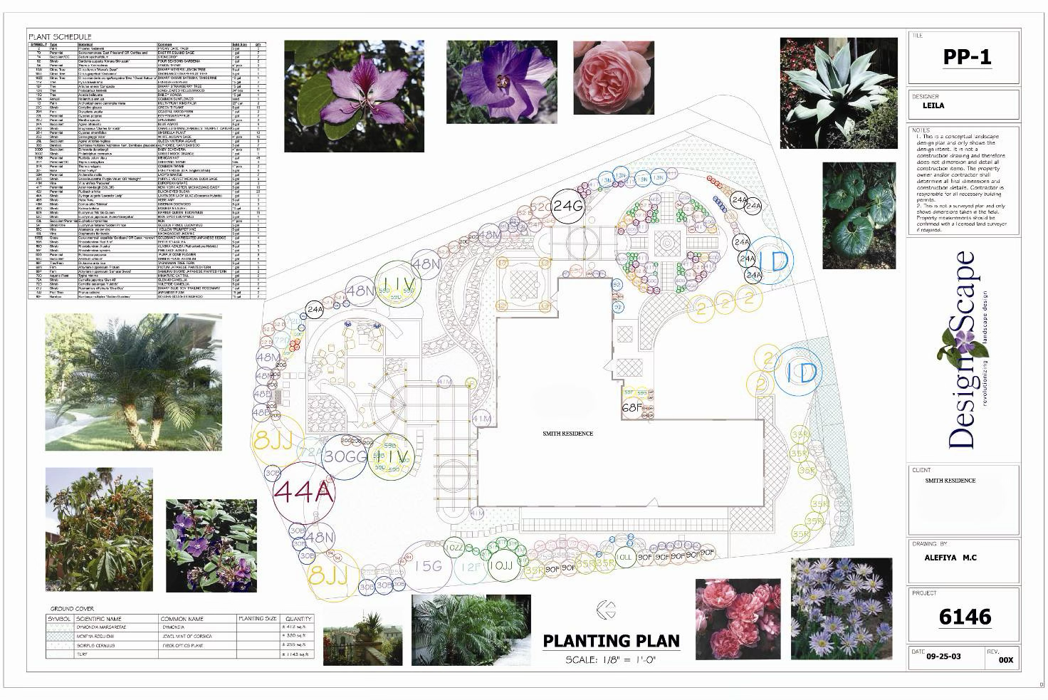 Complete Designscape planting plan